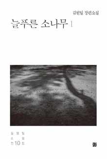 김원일