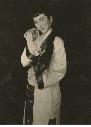 1950년 가사호접