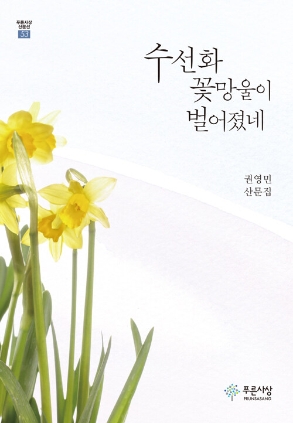 수선화 꽃망울이 벌어졌네